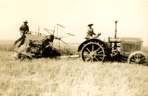 Chet and Lewis harvesting